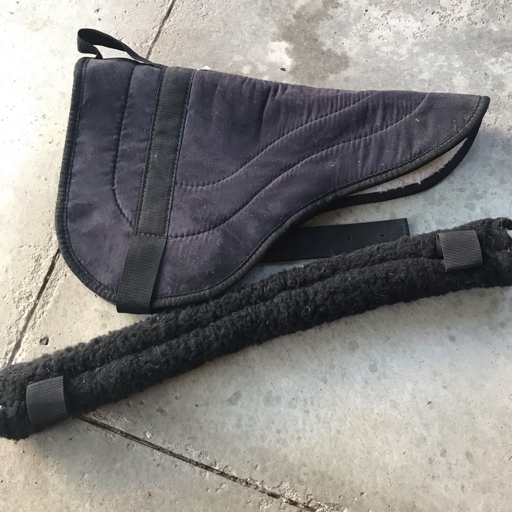 Horse bareback pad